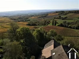 Les coteaux de vignes et, au fond, la vallée.