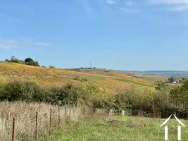 Vue sur les coteaux de vignes