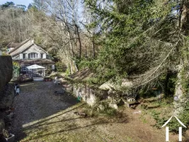 jardin avec des grands arbres