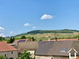 Vue sur le vignoble