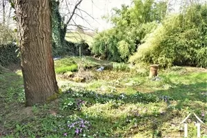 Character house for sale cluny, burgundy, JP5450S Image - 19