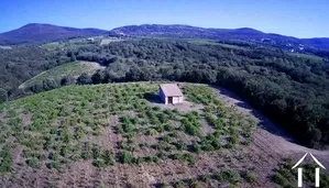 Barns and ruins for sale roquessels, languedoc-roussillon, 11-2482 Image - 1