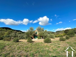 Small country shed with vines, olives and views.
