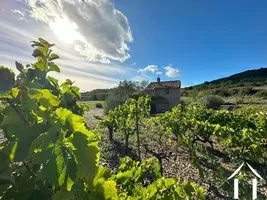 Property 1 hectare ++ for sale cessenon sur orb, languedoc-roussillon, 09-6852 Image - 6