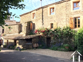 Natural stone house with 3 gardens, terrace and outbuildings