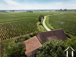 Maison avec vue sur les vignes