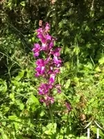 House for sale nolay, burgundy, BH5596 Image - 22