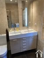 Double wash basin