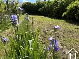 Beautiful Orchard of more than 500 Square Meters