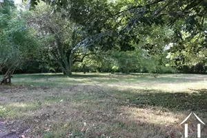 Wooded garden