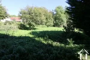 Garden in the back