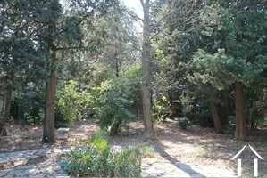 Maison de Maître for sale montpellier, languedoc-roussillon, ba021 Image - 2