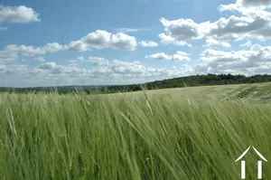 Property 1 hectare ++ for sale thenon, aquitaine, GVS4241C Image - 18