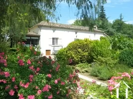 House with guest house for sale castillonnes, aquitaine, DM4304 Image - 1