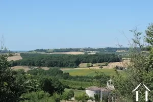 Character house for sale monflanquin, aquitaine, DM4307 Image - 12