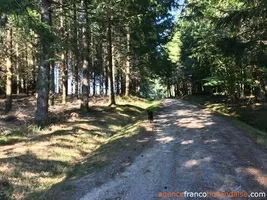 House for sale bugeat, limousin, Li805 Image - 62