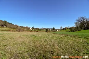  for sale meilhards, limousin, Li813 Image - 64
