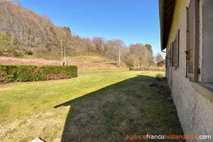  for sale meilhards, limousin, Li813 Image - 31