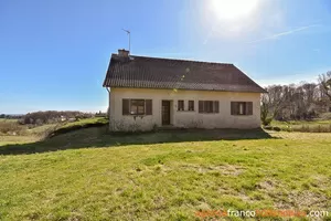  for sale meilhards, limousin, Li813 Image - 4
