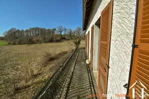  for sale meilhards, limousin, Li813 Image - 12
