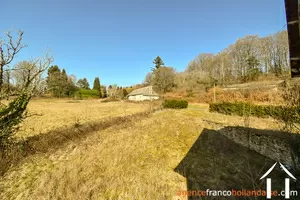 for sale meilhards, limousin, Li813 Image - 40