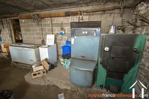  for sale meilhards, limousin, Li813 Image - 48