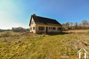  for sale meilhards, limousin, Li813 Image - 3