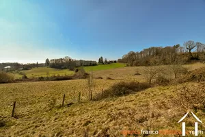  for sale meilhards, limousin, Li813 Image - 49