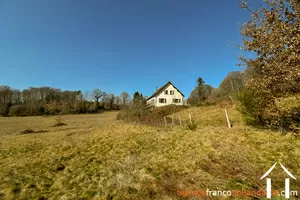  for sale meilhards, limousin, Li813 Image - 56