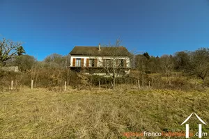  for sale meilhards, limousin, Li813 Image - 47