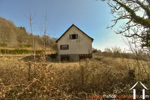  for sale meilhards, limousin, Li813 Image - 38