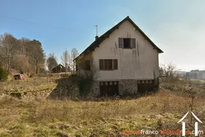  for sale meilhards, limousin, Li813 Image - 36