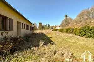  for sale meilhards, limousin, Li813 Image - 5