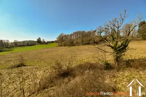  for sale meilhards, limousin, Li813 Image - 50