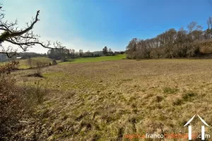  for sale meilhards, limousin, Li813 Image - 52