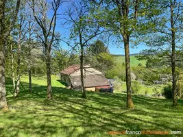  for sale sussac, limousin, Li821 Image - 70