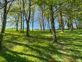  for sale sussac, limousin, Li821 Image - 74