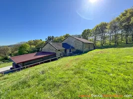  for sale sussac, limousin, Li821 Image - 66