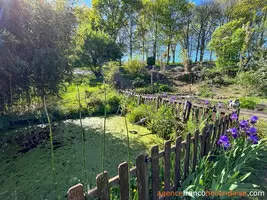  for sale sussac, limousin, Li821 Image - 98
