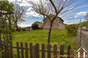  for sale masleon, limousin, Li828 Image - 24