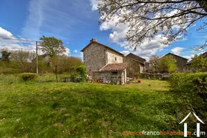  for sale masleon, limousin, Li828 Image - 20