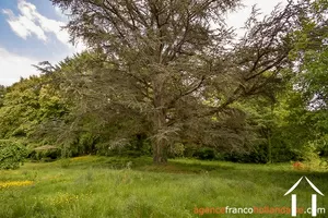  for sale bujaleuf, limousin, Li833 Image - 42