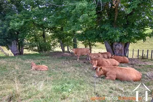  for sale la croisille sur briance, limousin, Li841A Image - 36
