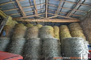  for sale la croisille sur briance, limousin, Li841A Image - 29