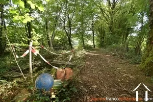 House for sale chateauneuf la foret, limousin, Li845 Image - 24