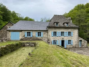 Mill for sale in MENET  Ref # AP03007930 