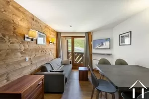 Magnificent apartment on the slopes val thorens Ref # C3117 