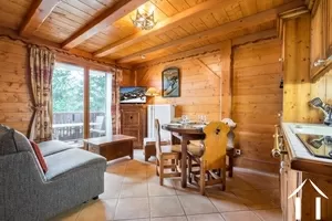 Ski in / ski out apartment - meribel village meribel Ref # C3901 