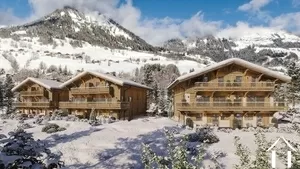 New semi-chalet with garden and views - praz-sur-arly  Ref # C6380-C1 