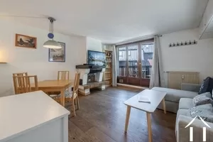Bright 1-bedroom apartment plus sleeping alcove in the heart of chamonix mont-blanc  Ref # C6557 
